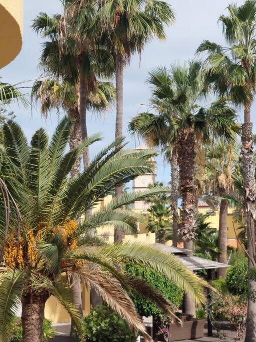 科拉雷侯Atlantic Garden - Casa Helena公寓 外观 照片